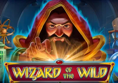 Wizard of the Wild game thumbnail